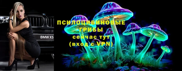 apvp Липки