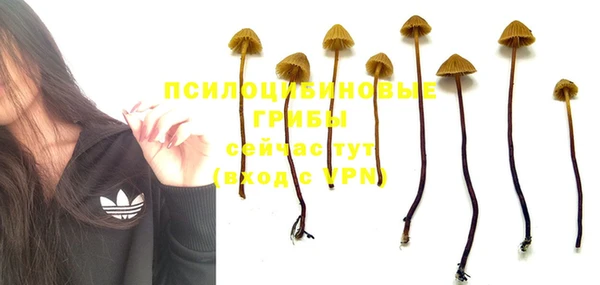MDMA Ладушкин