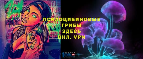 apvp Лихославль