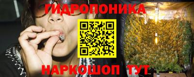 гидропоника Заводоуковск