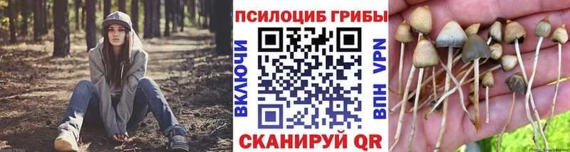 Псилоцибиновые грибы мицелий Лиски